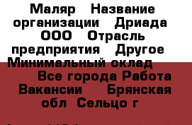 Маляр › Название организации ­ Дриада, ООО › Отрасль предприятия ­ Другое › Минимальный оклад ­ 18 000 - Все города Работа » Вакансии   . Брянская обл.,Сельцо г.